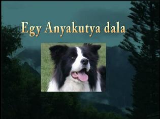 Egy anyakutya dala