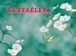 Kutya&eacute;let...