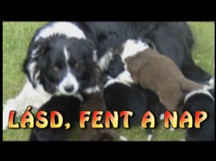 L&aacute;sd, fent a Nap!