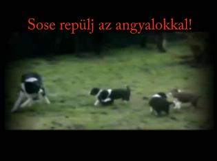 Sose rep&uuml;lj az angyalokkal!