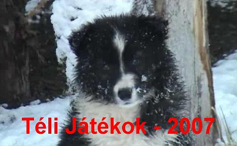 T&eacute;li kuty&aacute;s j&aacute;t&eacute;kok - 2007
